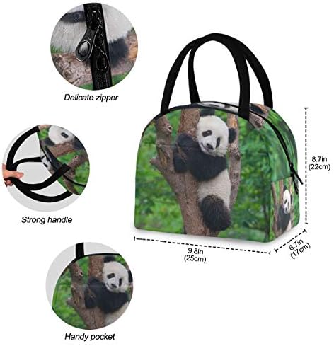 YYZZH Cuki Panda Medve Állat, A Fa Zöld Dzsungel Erdő Szigetelt Cipzár Ebéd Táska Hűtőtáska Étel elkészítése Kézitáska uzsonnás