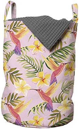 Ambesonne Kolibri Szennyesét, Botanikus Hawaii Tavaszi Egzotikus Kapcsolódó Különféle Levelek, Virágok, Madarak, Szennyestartó